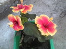 P14-07-12_12.52[4]