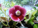 IMAG0028