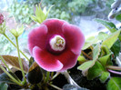 IMAG0029