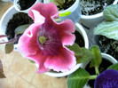 IMAG0032
