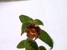 IMAG0012