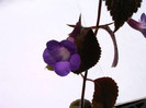 IMAG0017