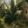 Wizards_of_Waverly_Place_The_Movie_1252726809_1_2009
