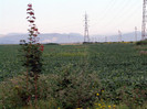 DSC02857