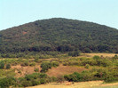 DSC02862