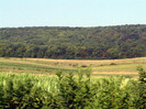 DSC02865