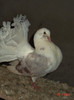 DSC00198