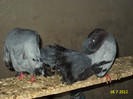 DSC00203