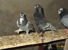DSC00207
