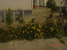 poze 1326