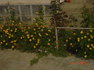 poze 1327