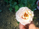 CIMG6243
