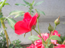 DSCN1674