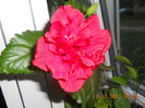DSCN1670