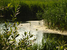 DSC03375
