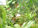 DSC04592