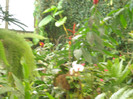 DSC04593