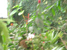 DSC04594