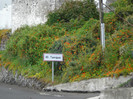 DSC04653