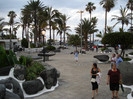 DSC04734