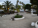 DSC04740