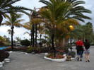 DSC04741