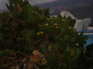 DSC04762