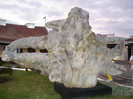 DSC04766