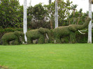 DSC04771