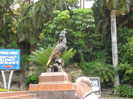 DSC04774