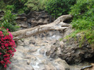 DSC04805