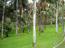 DSC04806