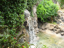 DSC04824