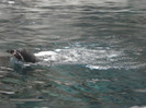 DSC04836