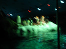 DSC04861