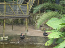 DSC04920