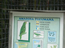 DSC04888