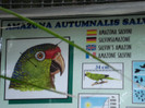 DSC04899