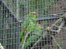 DSC04900
