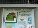 DSC04904