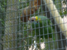 DSC04907