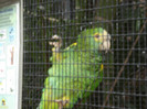 DSC04908