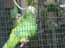 DSC04909