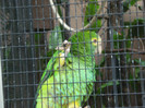 DSC04910