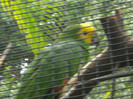 DSC04915