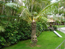DSC04916