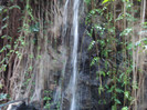 DSC04926