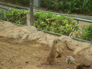 DSC04930