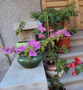 DSC08005