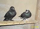 DSC00238